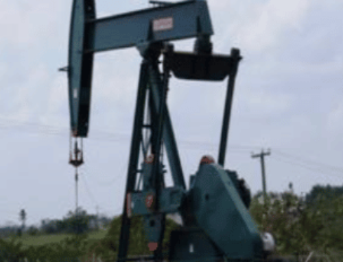 BELIZE NATURAL ENERGY LIMITED