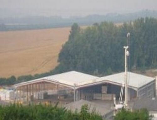 MANSFIELDS (UNITED KINGDOM)